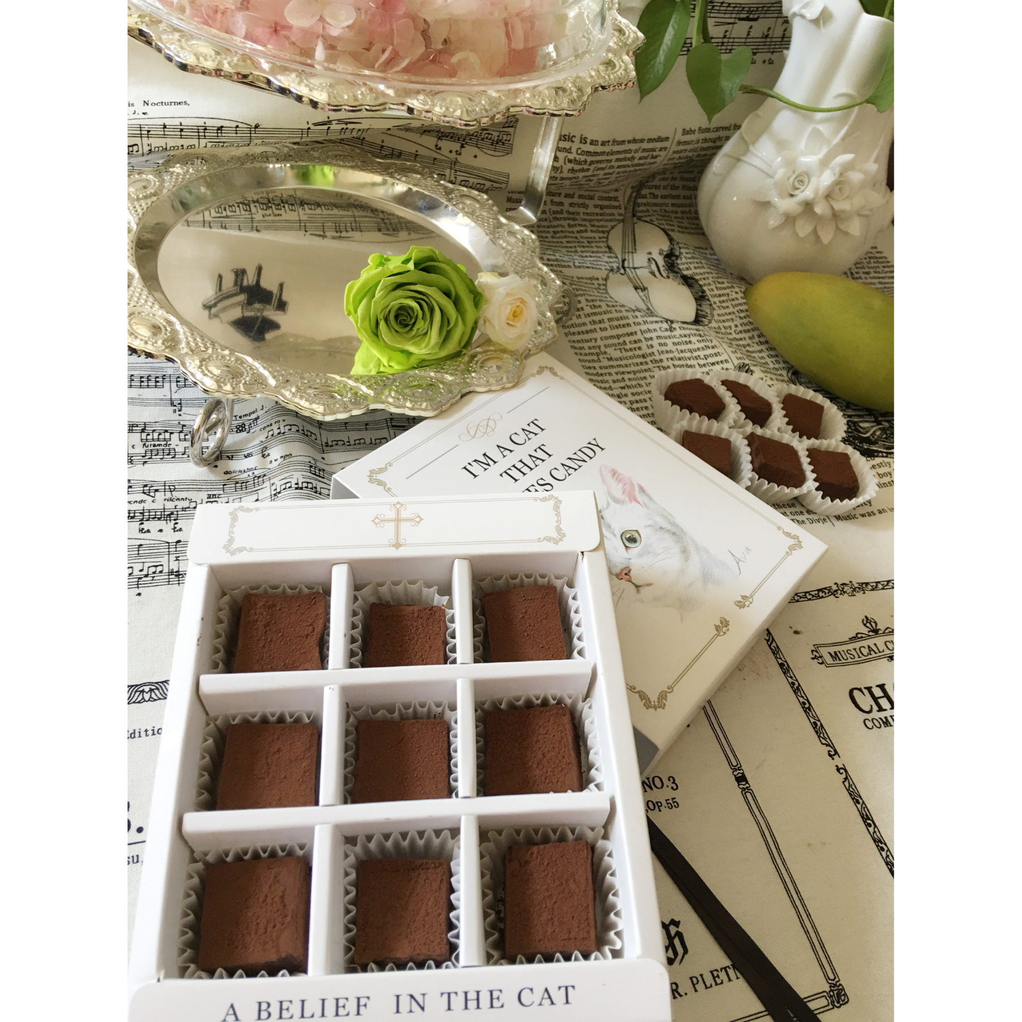 小嶋老师的生巧克力