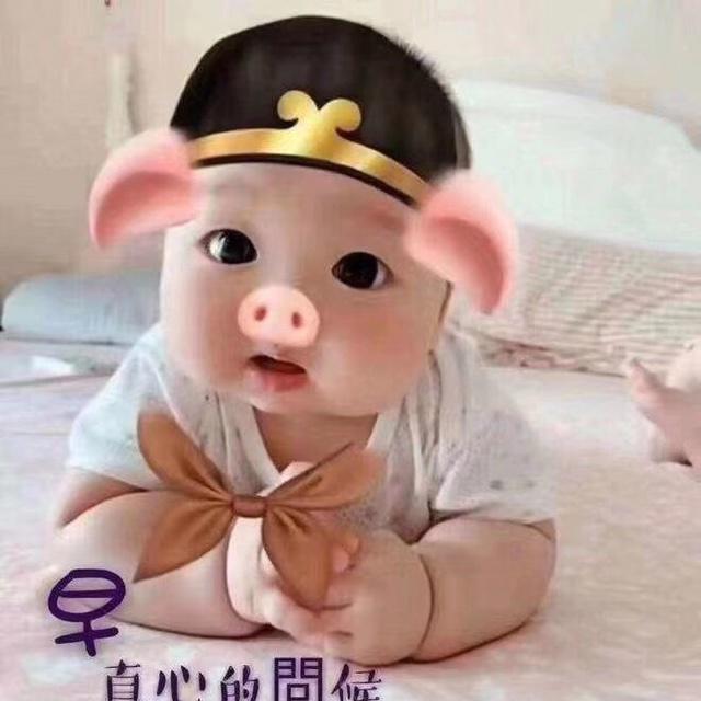 轻风7988_vf4u