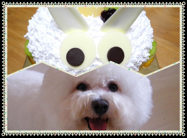 狗狗生日蛋糕（纯天然无色素无面粉）