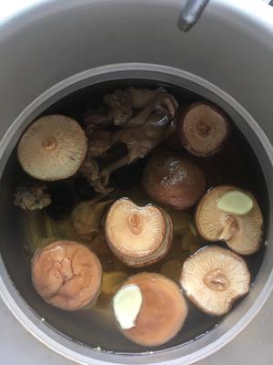 菌菇乳鸽清汤的做法 步骤3