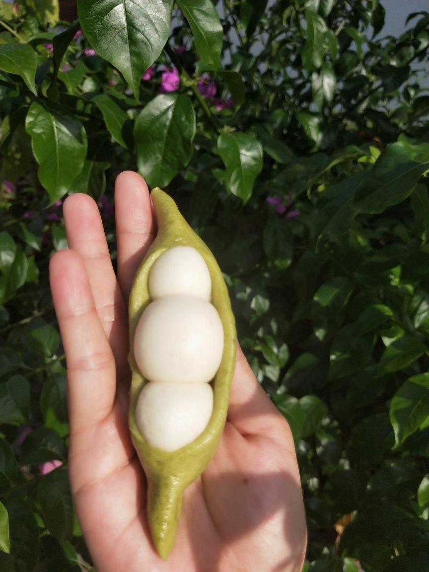 发酵面团-豌豆荚馒头