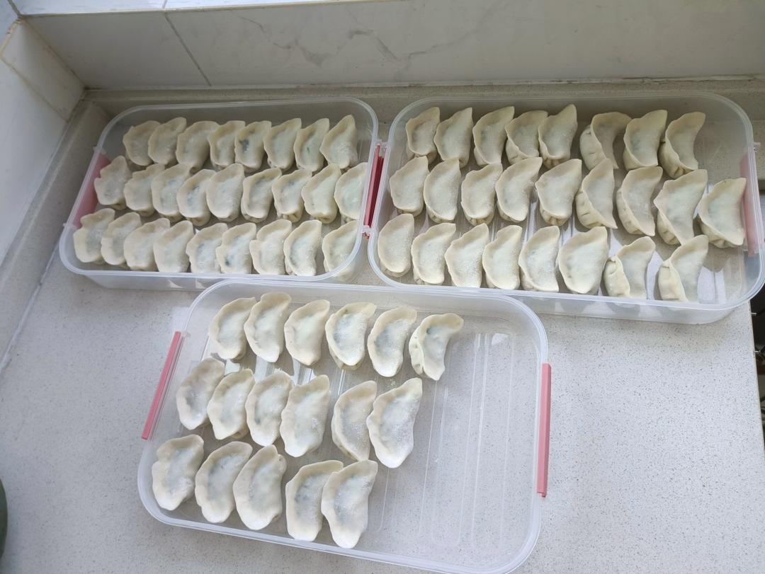 经典的韭菜鸡蛋馅儿饺子 怎么吃都不会腻