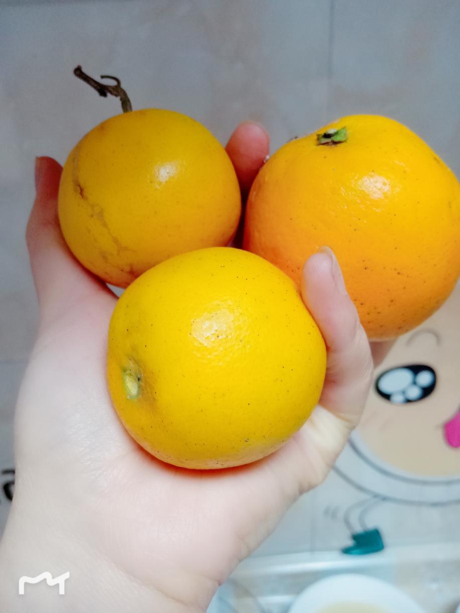 手持料理棒打橙汁