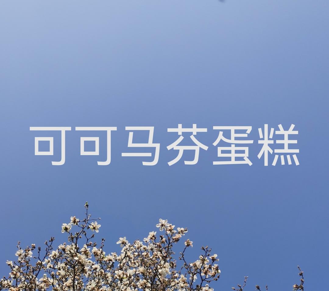 可可马芬蛋糕Muffin Cake-小高姐