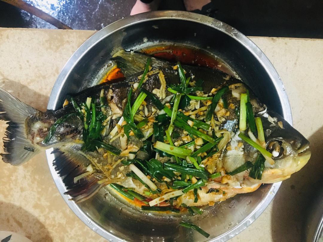 【嫩滑清蒸仓鱼的做法步骤图,怎么做好吃】我是小风云_下厨房