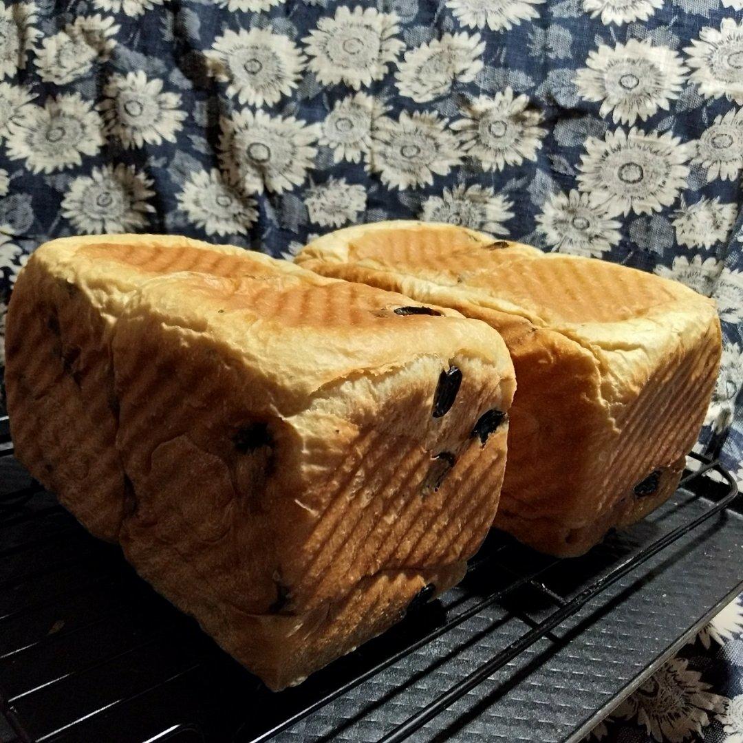预祝冬安 明石克彦老师的提子吐司