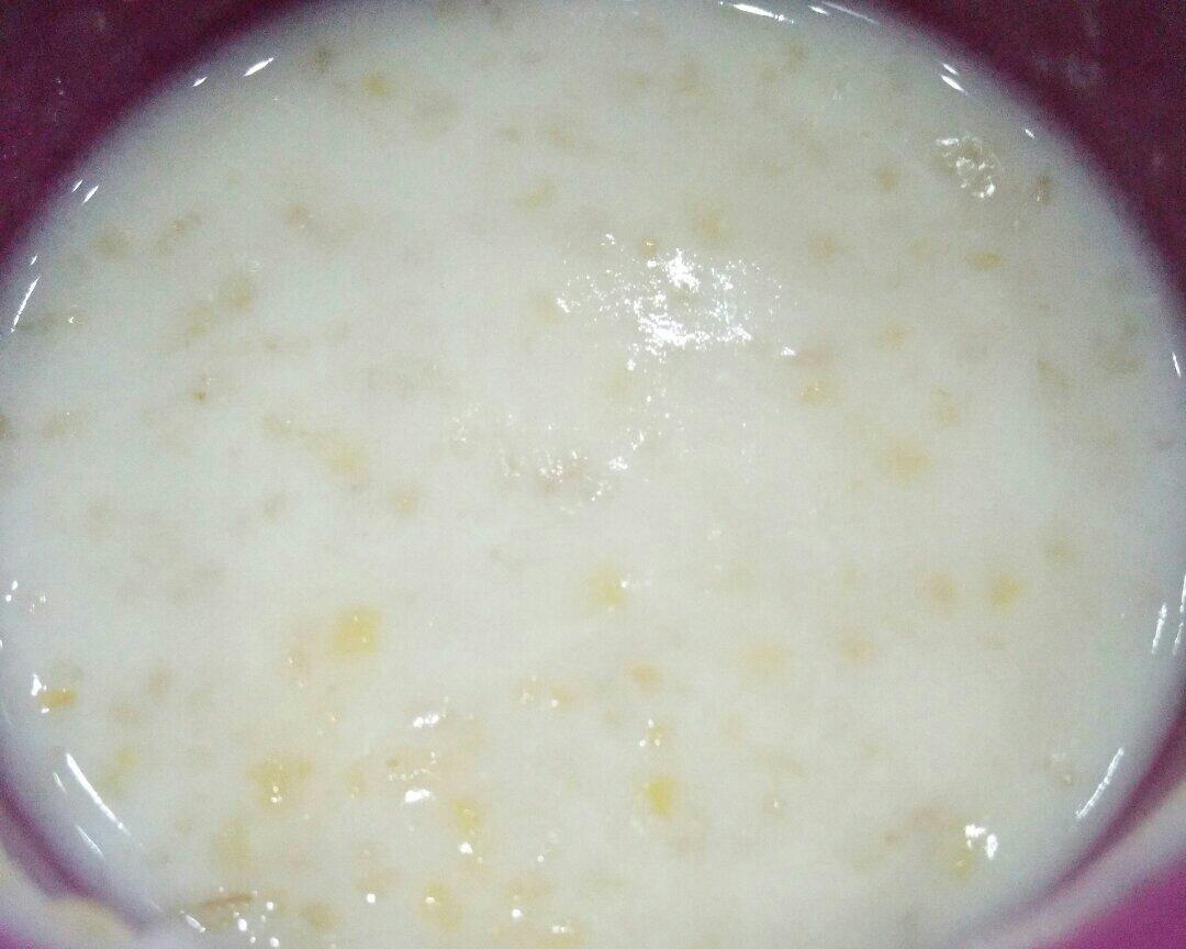 （寝室+电饭锅）牛奶燕麦玉米碴粥
