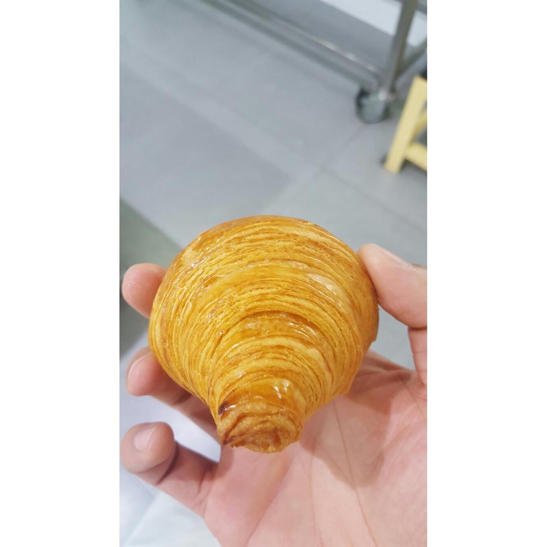 可颂
