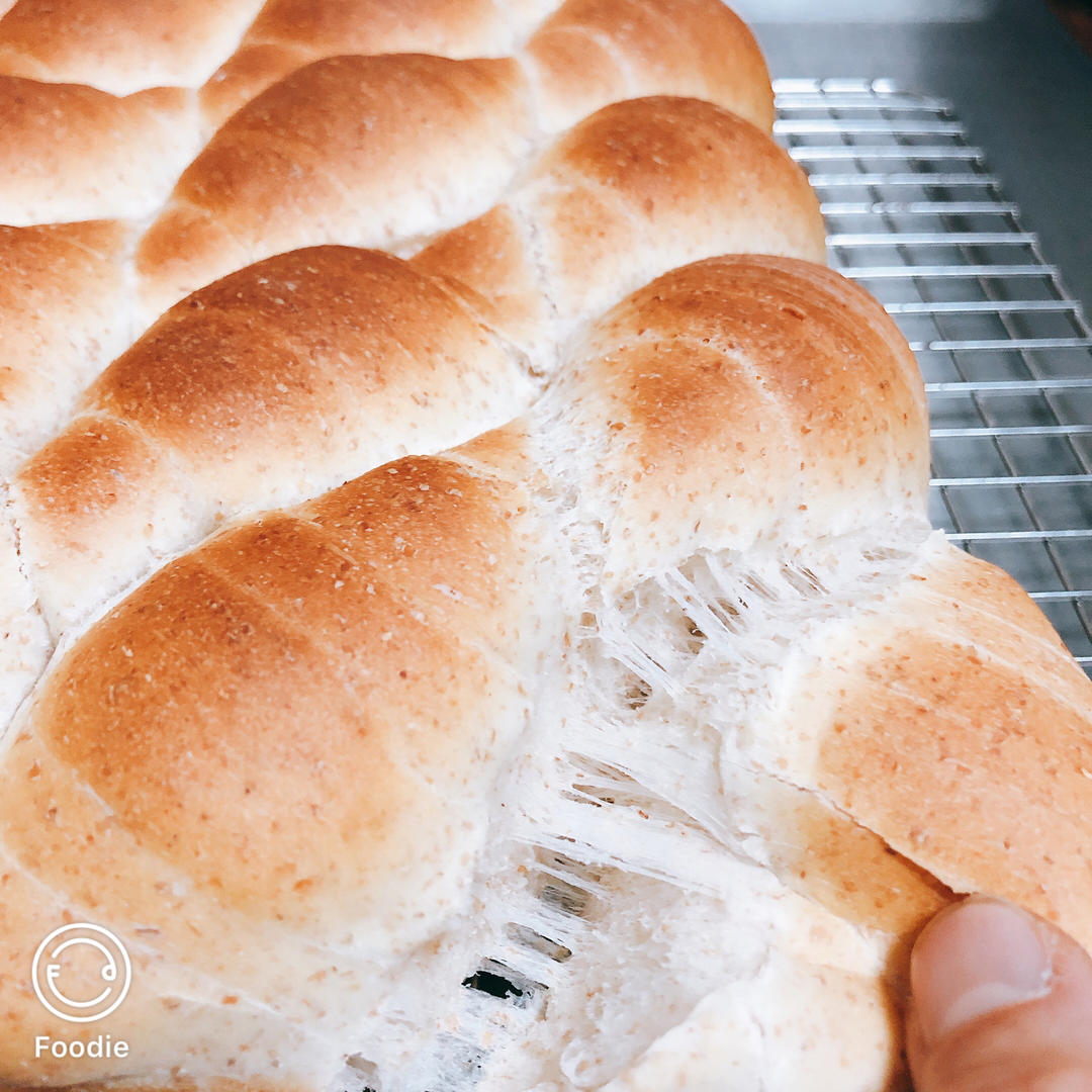 “揪揪家族”之全麦小揪揪