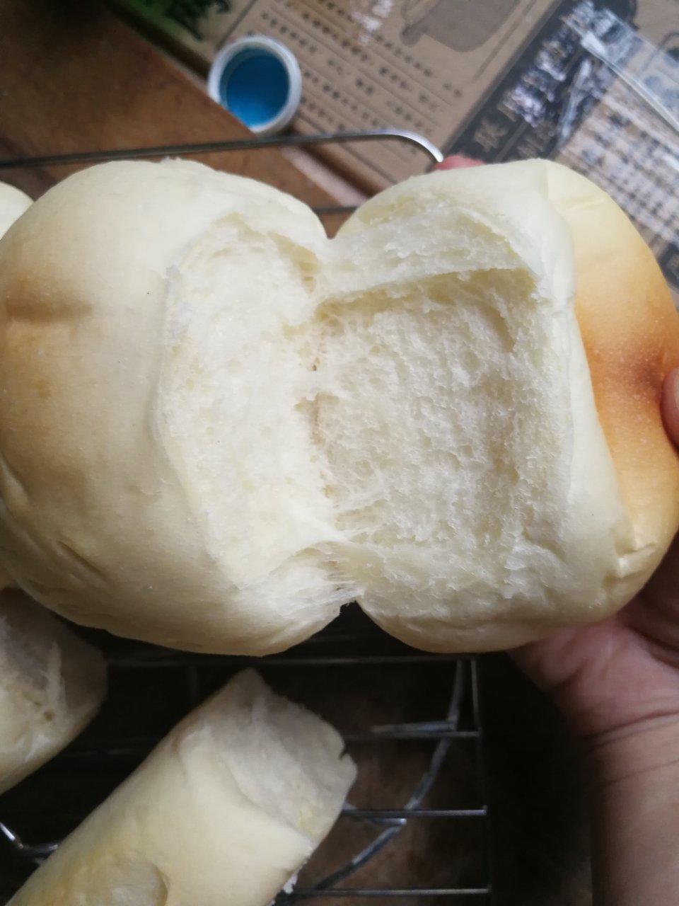 9升烤箱的食物探索