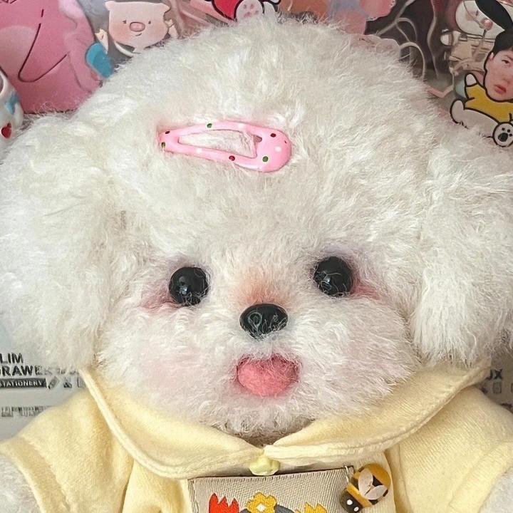念念啦啦啦