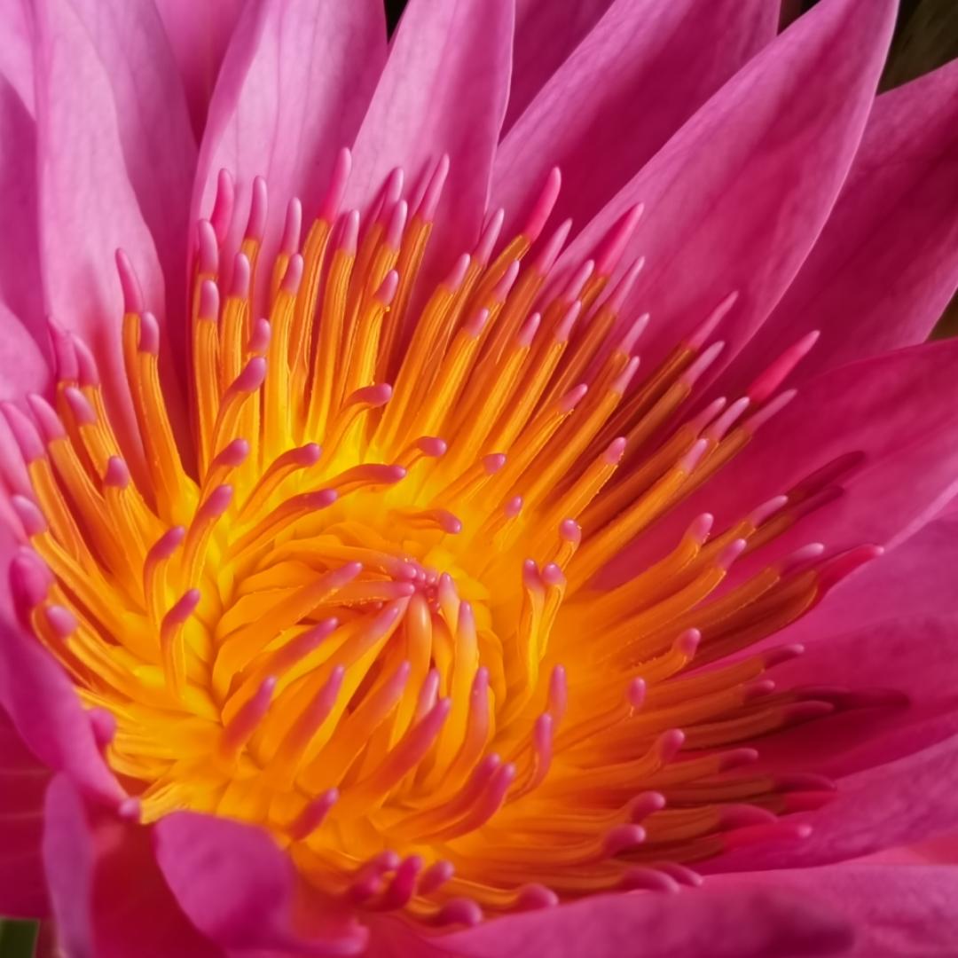 退休生活刷啦啦