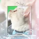 吃糯米团子的蒙奇奇