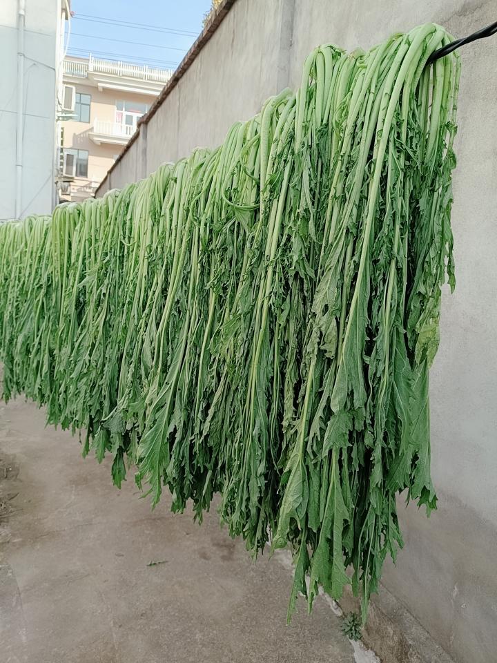 腌腊菜的做法 步骤4