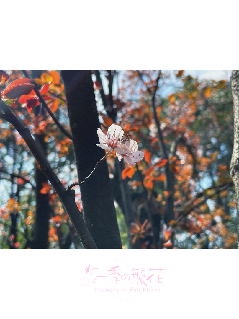 2021年03月05日