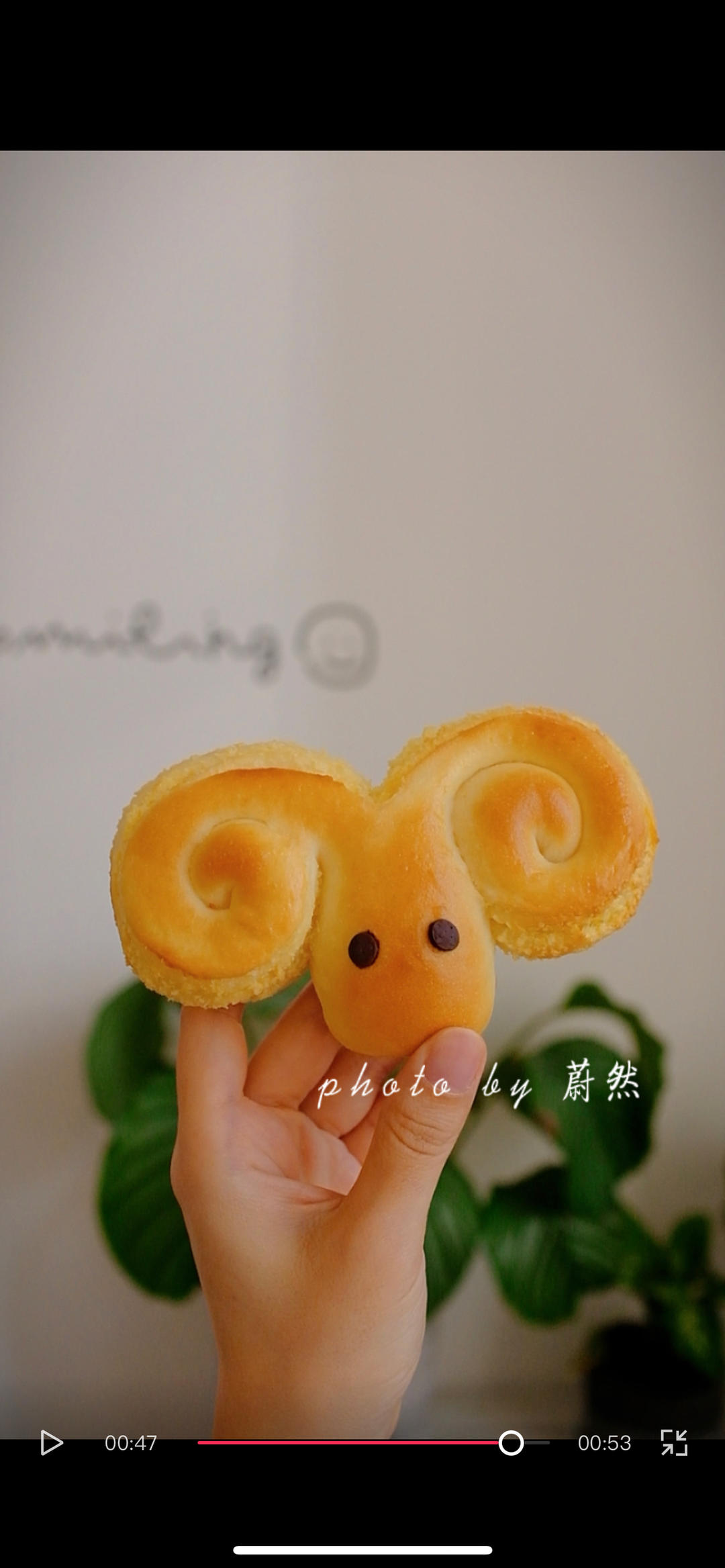 椰蓉小羊or椰蓉小章鱼🐙