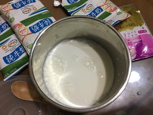 川秀菌粉自制原味十菌酸奶的做法 步骤2