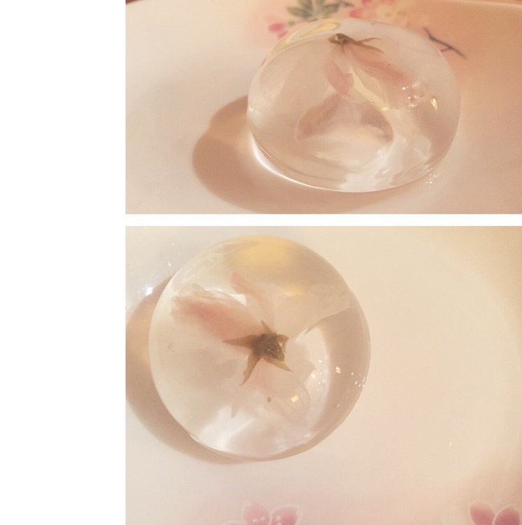 日本最温柔的梦幻和菓子 — 水信玄饼