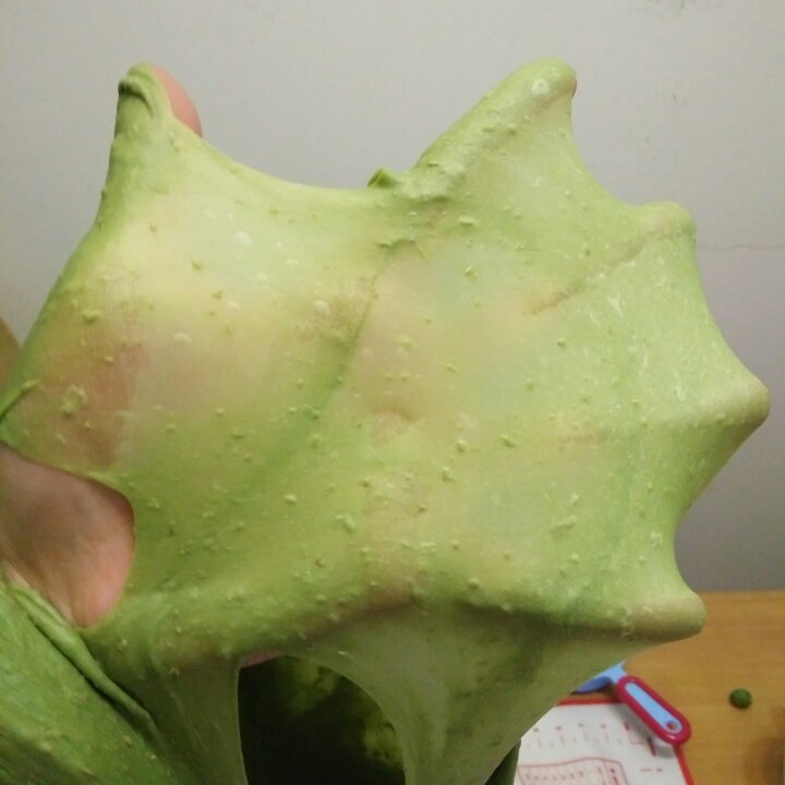 抹茶红豆吐司（详述手揉方法)