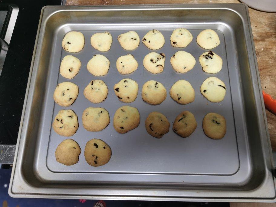 酥脆蔓越莓饼干