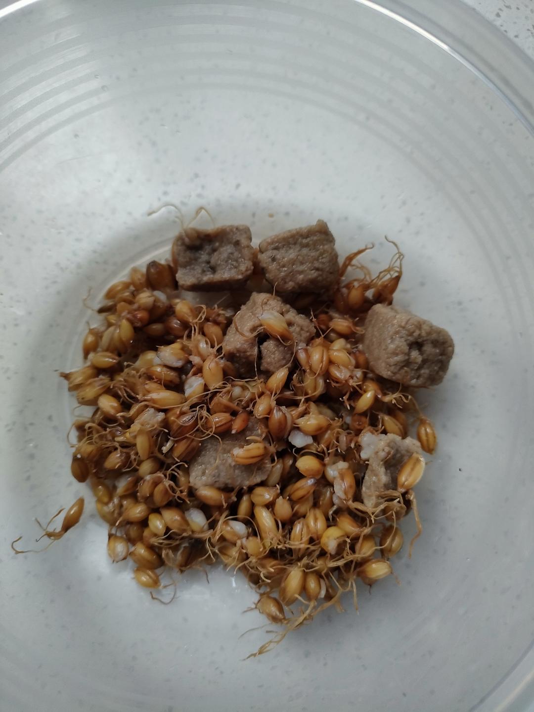 大麦芽六神曲治腹胀消化不良