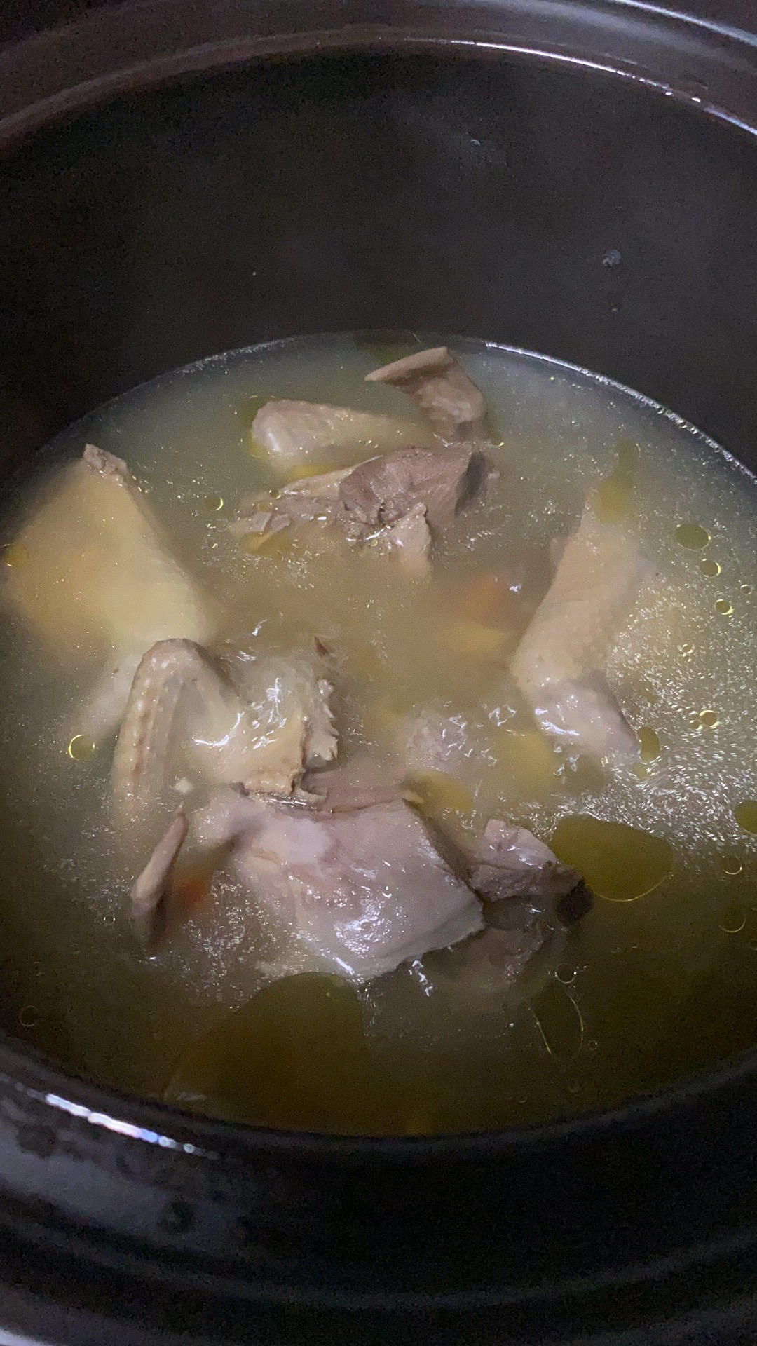 零失败养生鸽子汤