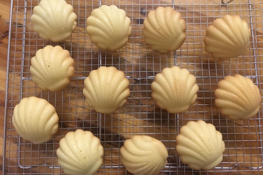 基础玛德琳
