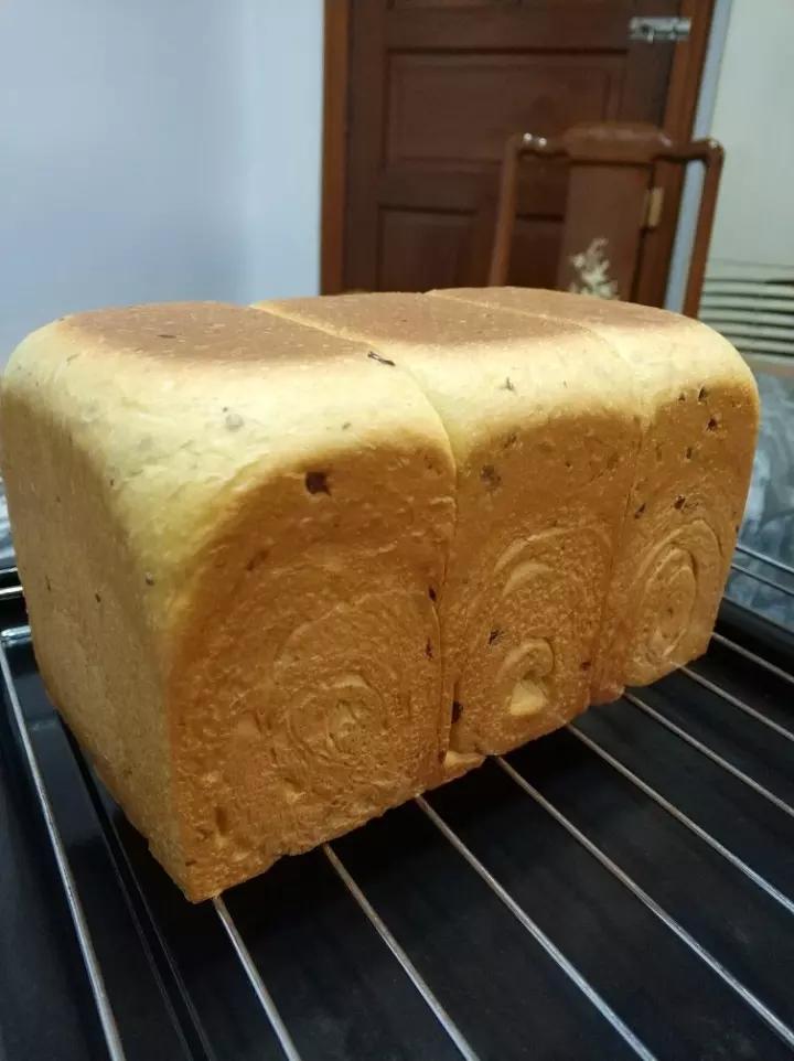 一次发酵纯奶手撕吐司面包（防止面团温度高的方法）B55