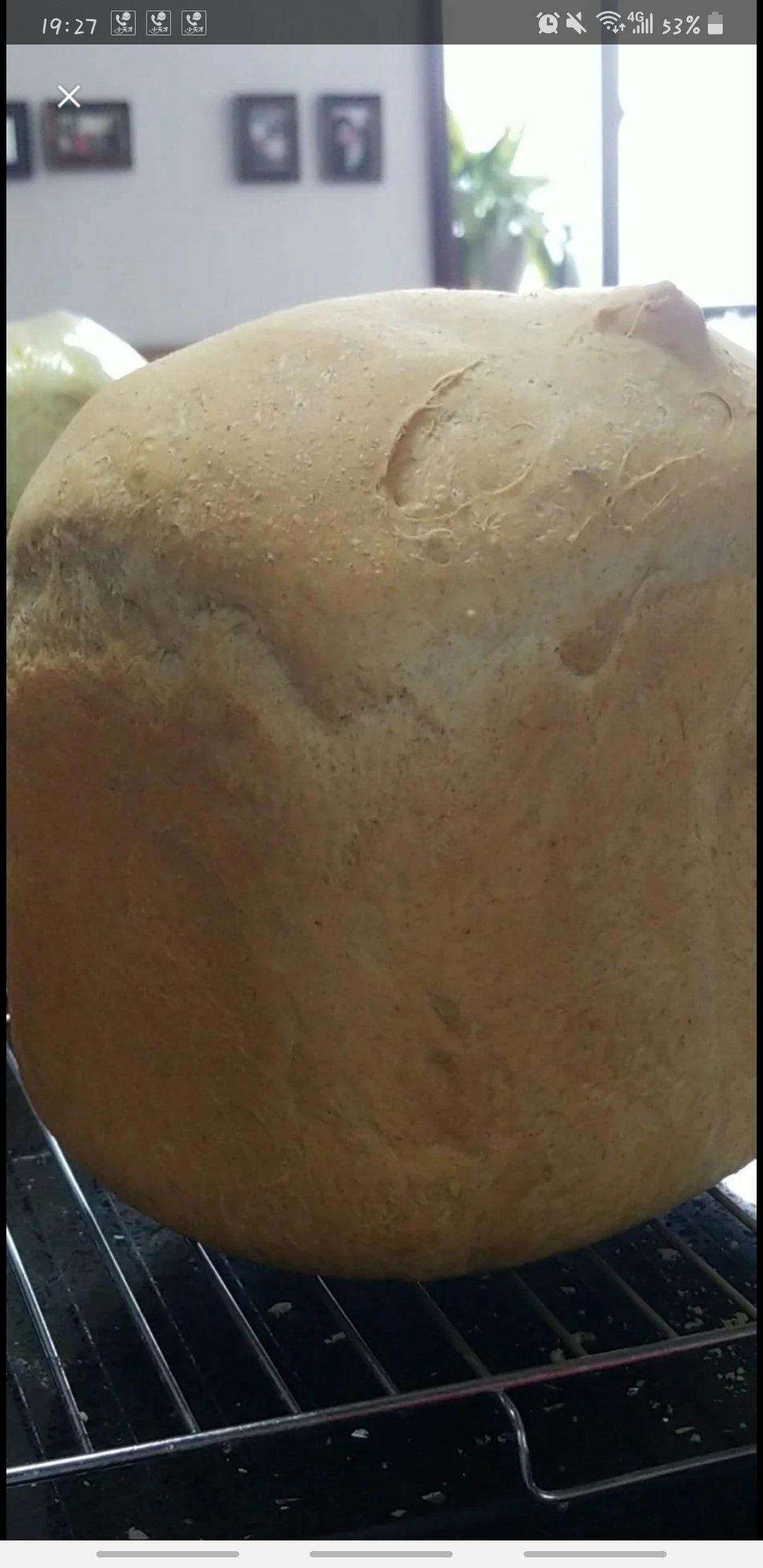 柏翠PE8855懒人一键式面包（1）