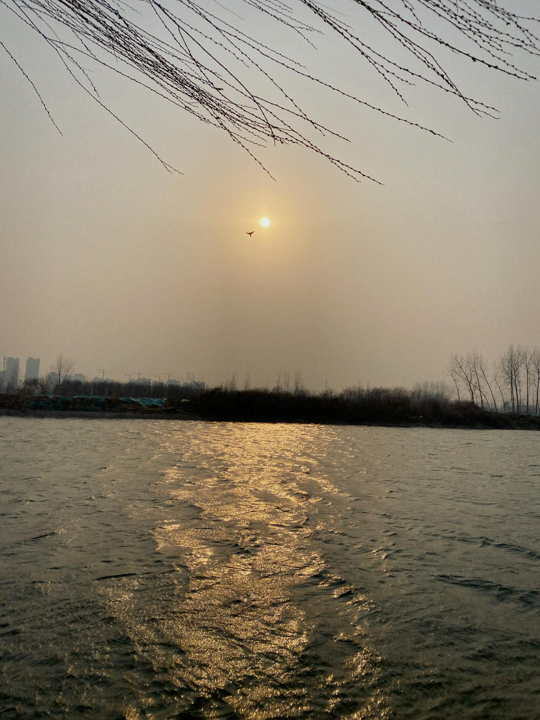 小草莓妈妈_爱美食