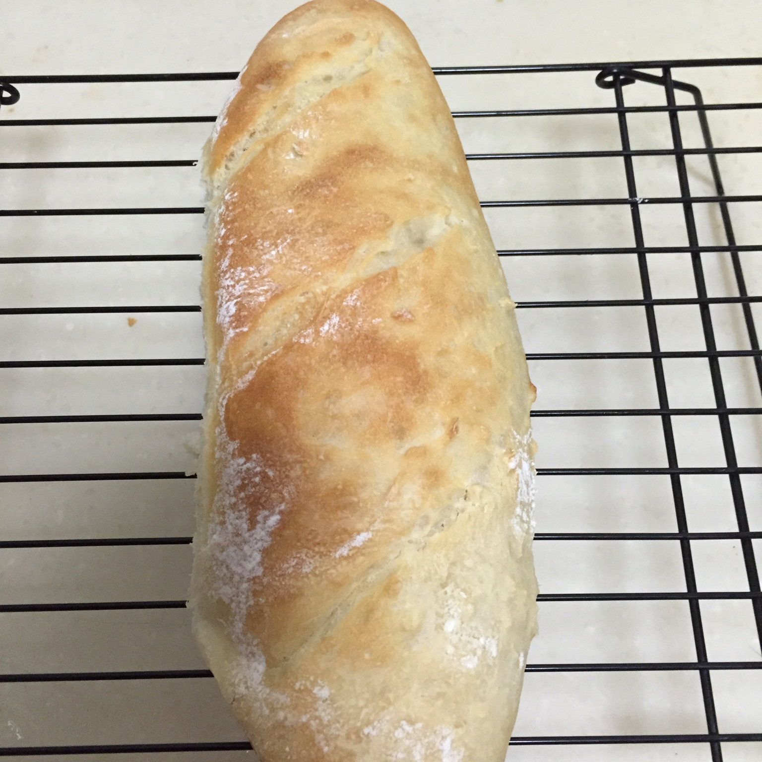 营养健康法棍面包