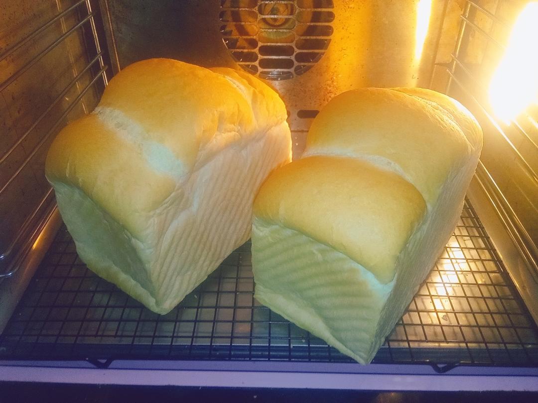 椰浆吐司🍞一次发酵