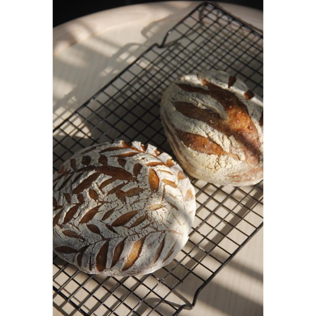 【Ken Forkish】纯天然酵种三麦基础包