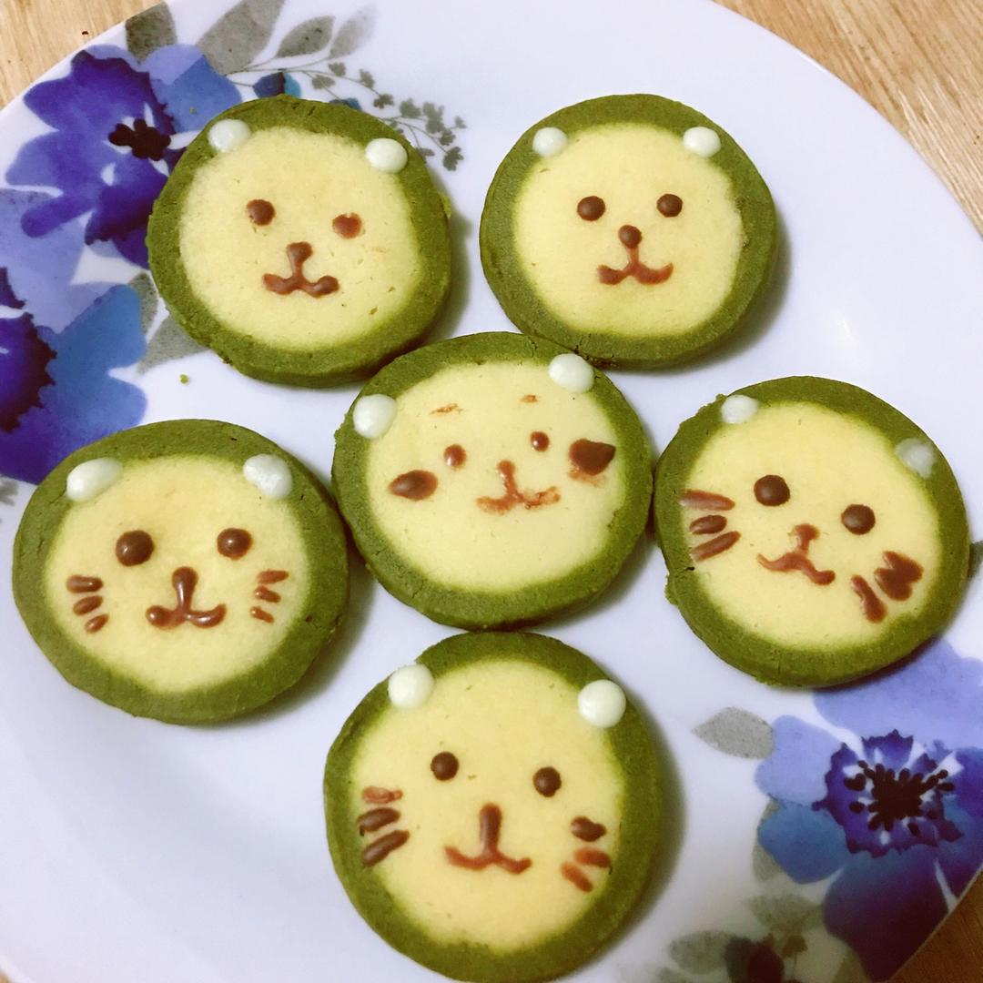 萌哭了的可可狮子饼干