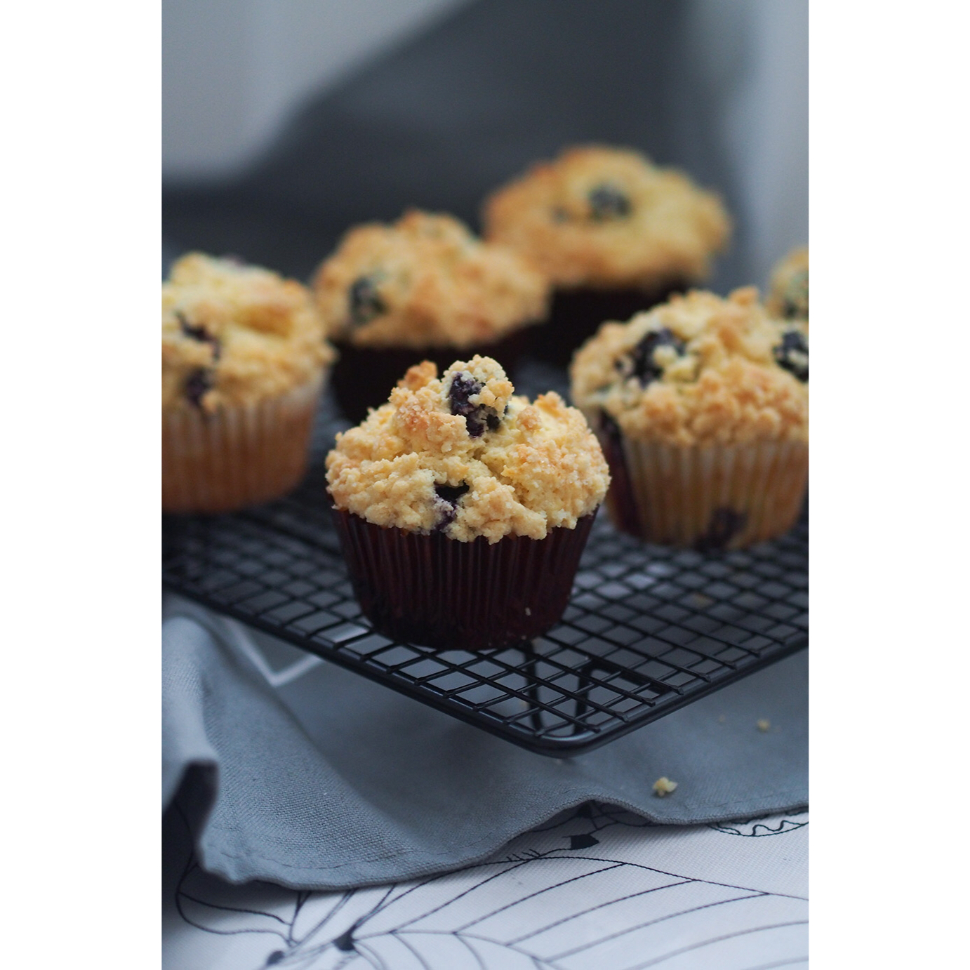 PH大师的金宝顶蓝莓马芬