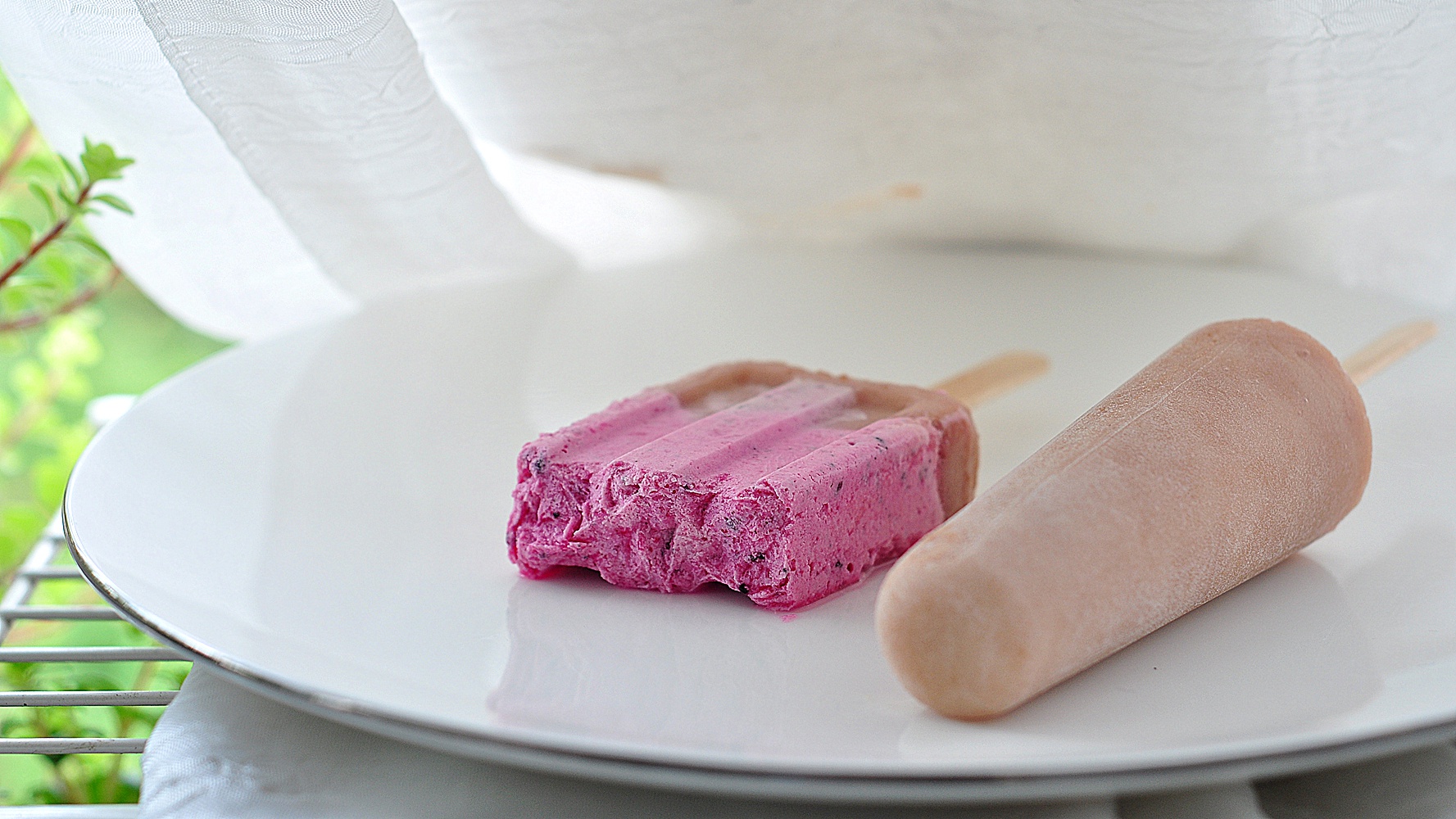 酸奶冻黑醋栗雪糕的全部作品