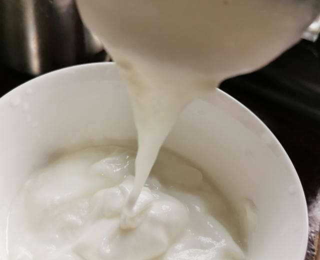 自制菌丝生活酸奶