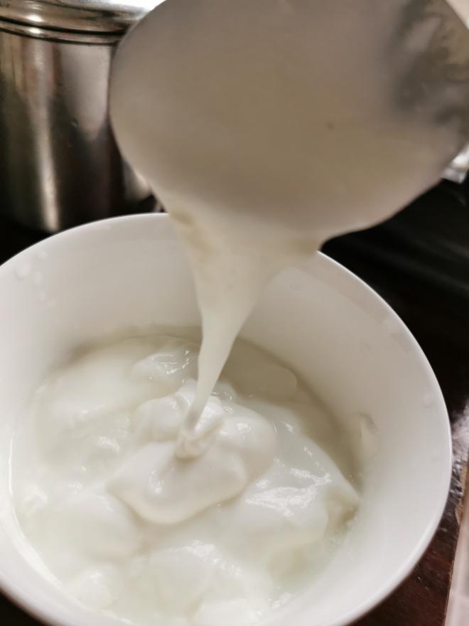 自制菌丝生活酸奶的做法