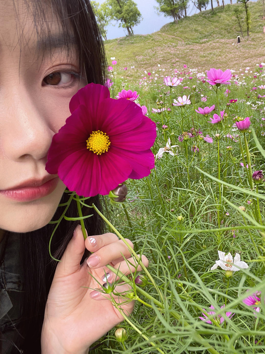 税税