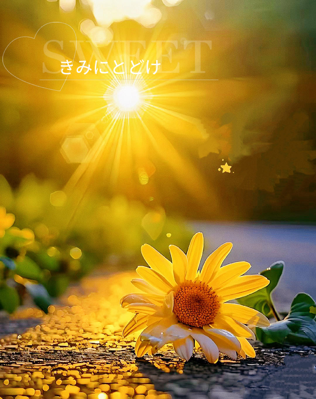 半夏m