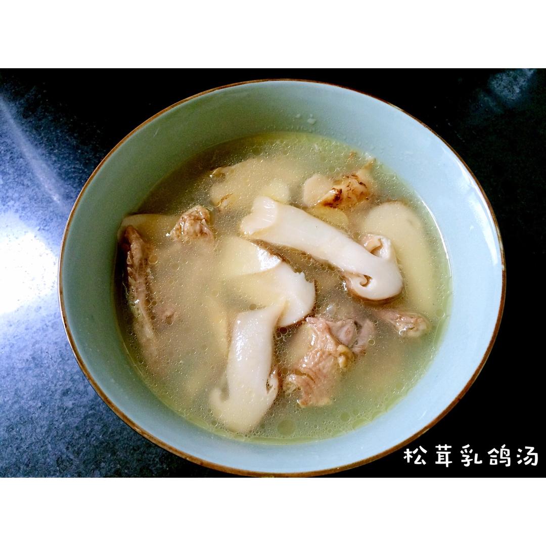 松茸鸽子汤