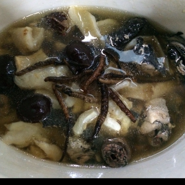 鱼肚鲍鱼鸡汤