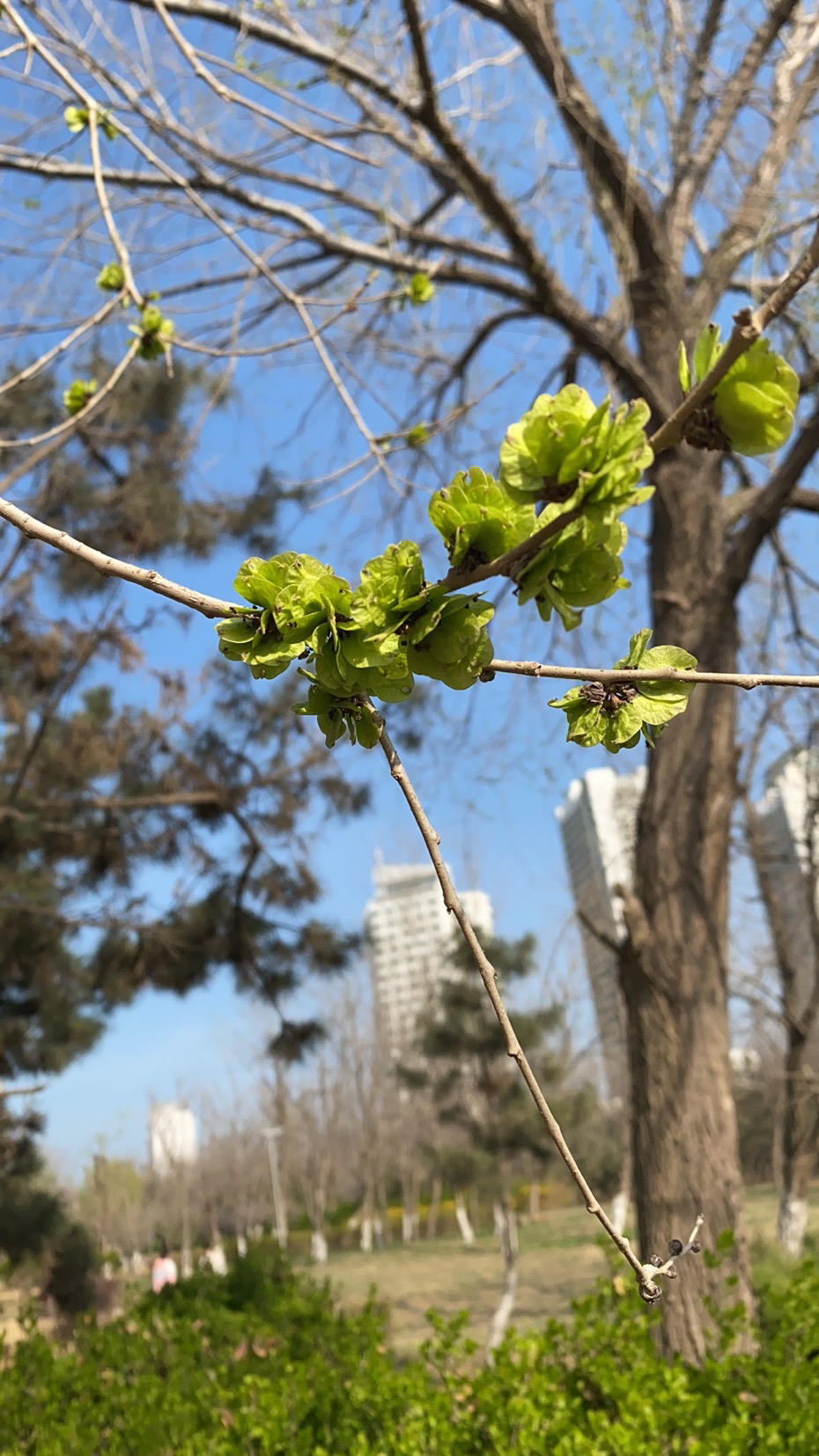 午餐•2023年4月4日