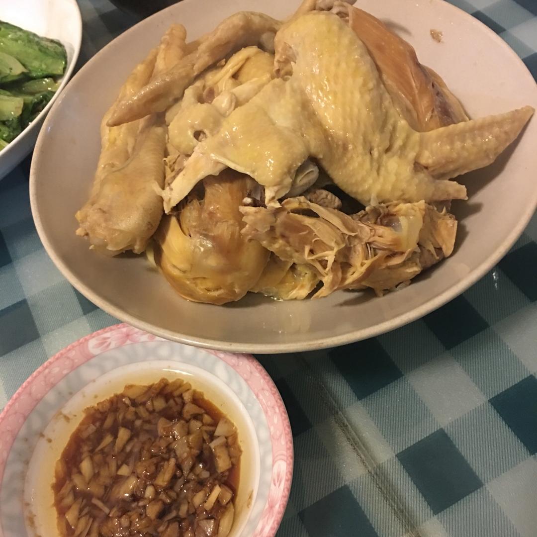 改善头晕药膳～天麻炖鸡