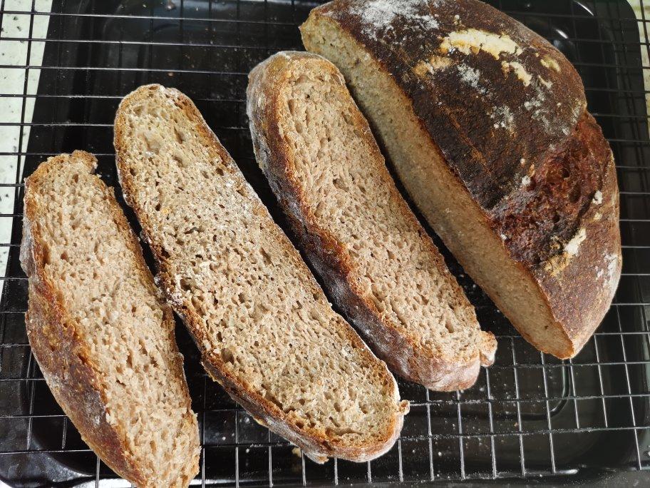 【Tartine No.3】传统谷物篇3：斯佩尔特Spelt天然酵种欧包