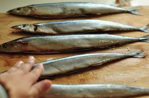 盐烤秋刀鱼的做法 步骤1