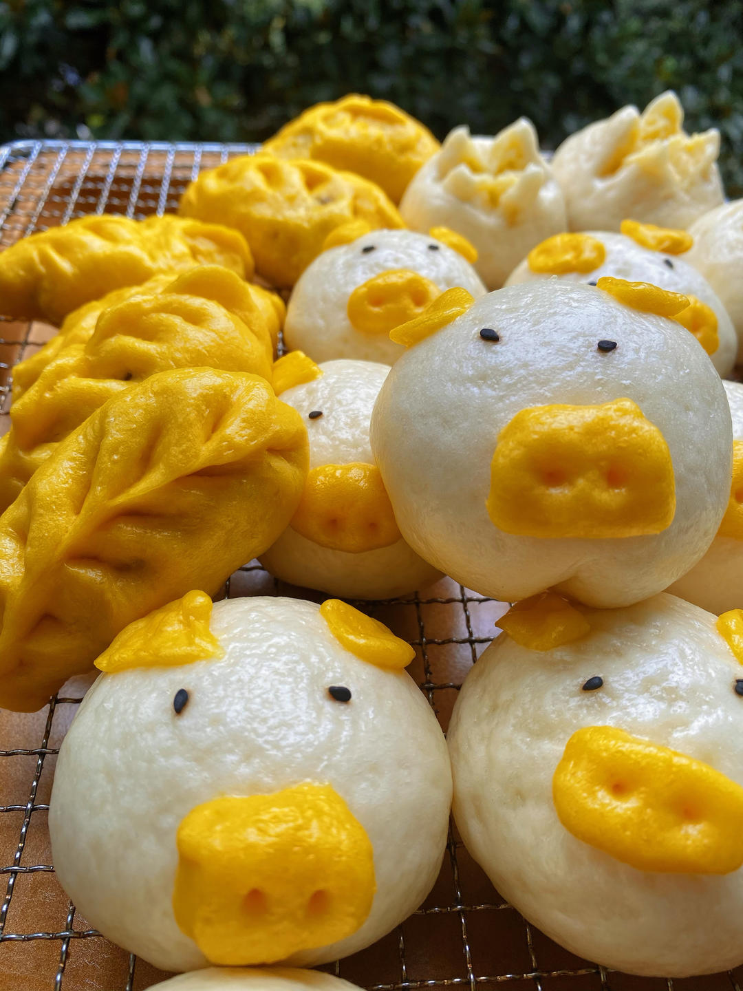 奶黄馅儿和奶黄包
