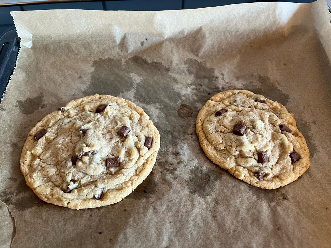 Two huge chocolate chip cookies