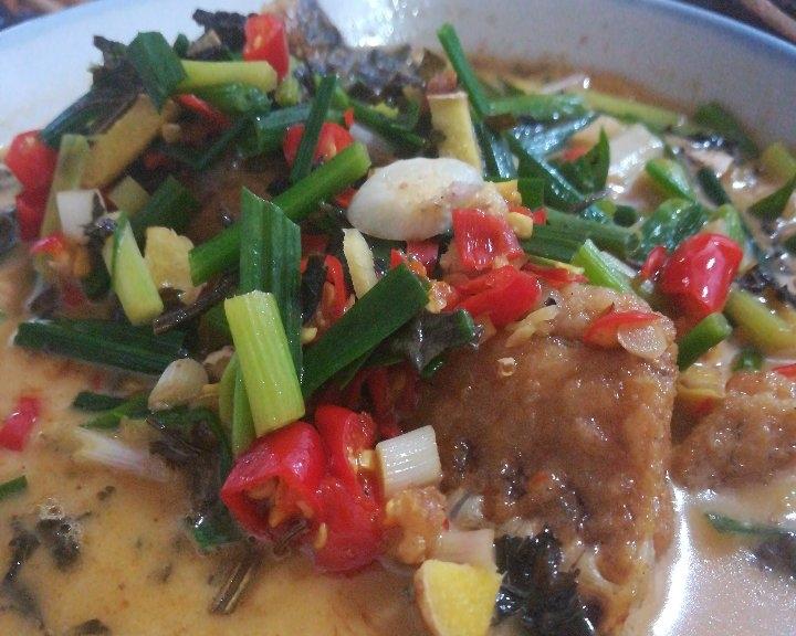 鲜煮鱼（无味精，自然鲜）