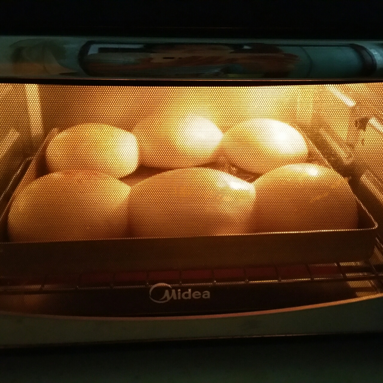 汉堡胚（中种法）